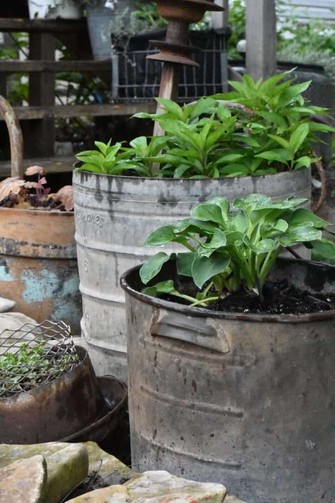 Vintage Garden Tub Planters