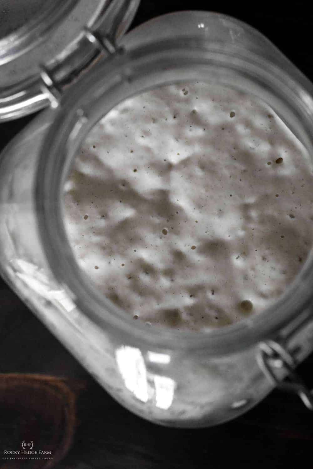 best sourdough recipe