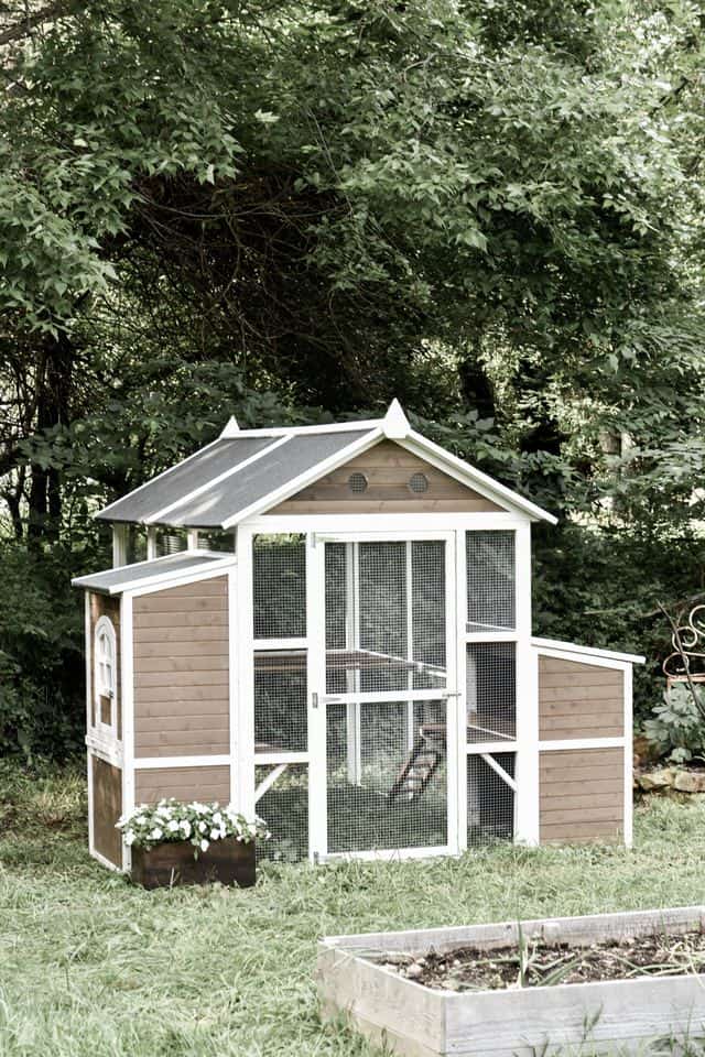 A Walk-in Two Story Coop