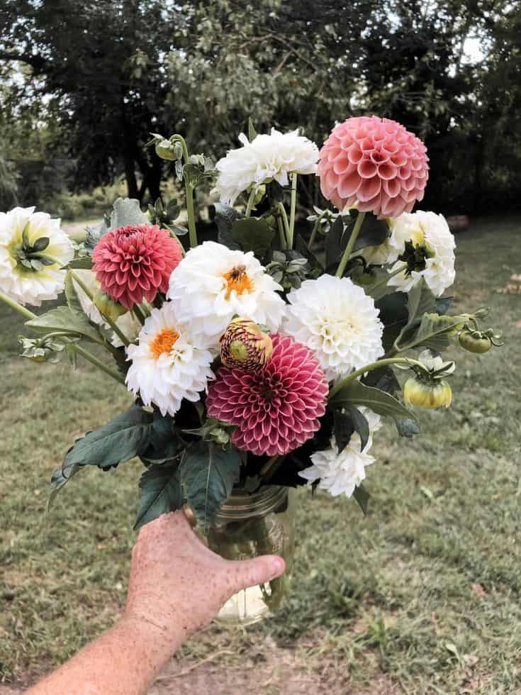 How to Grow a Cut Flower Garden - Rocky Hedge Farm