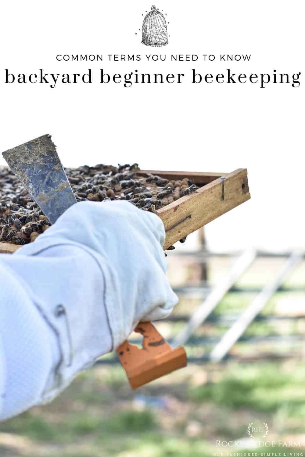 Common Backyard Beekeeping Terms Rocky Hedge Farm