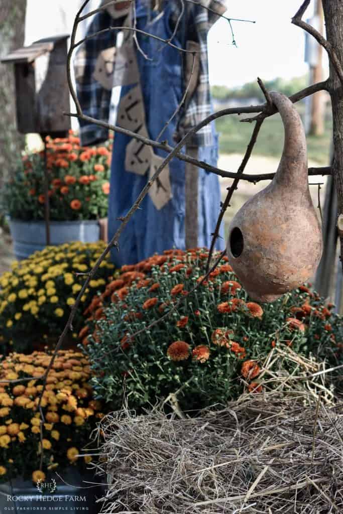 Fall Bird House Gourd