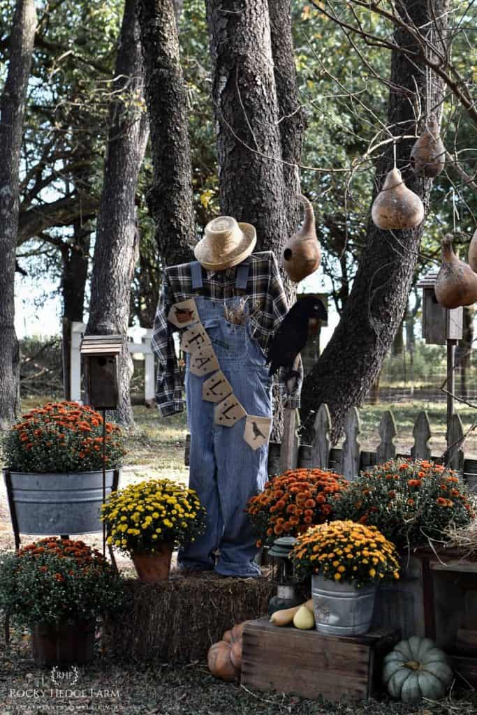 Fall Farmhouse Yard Display
