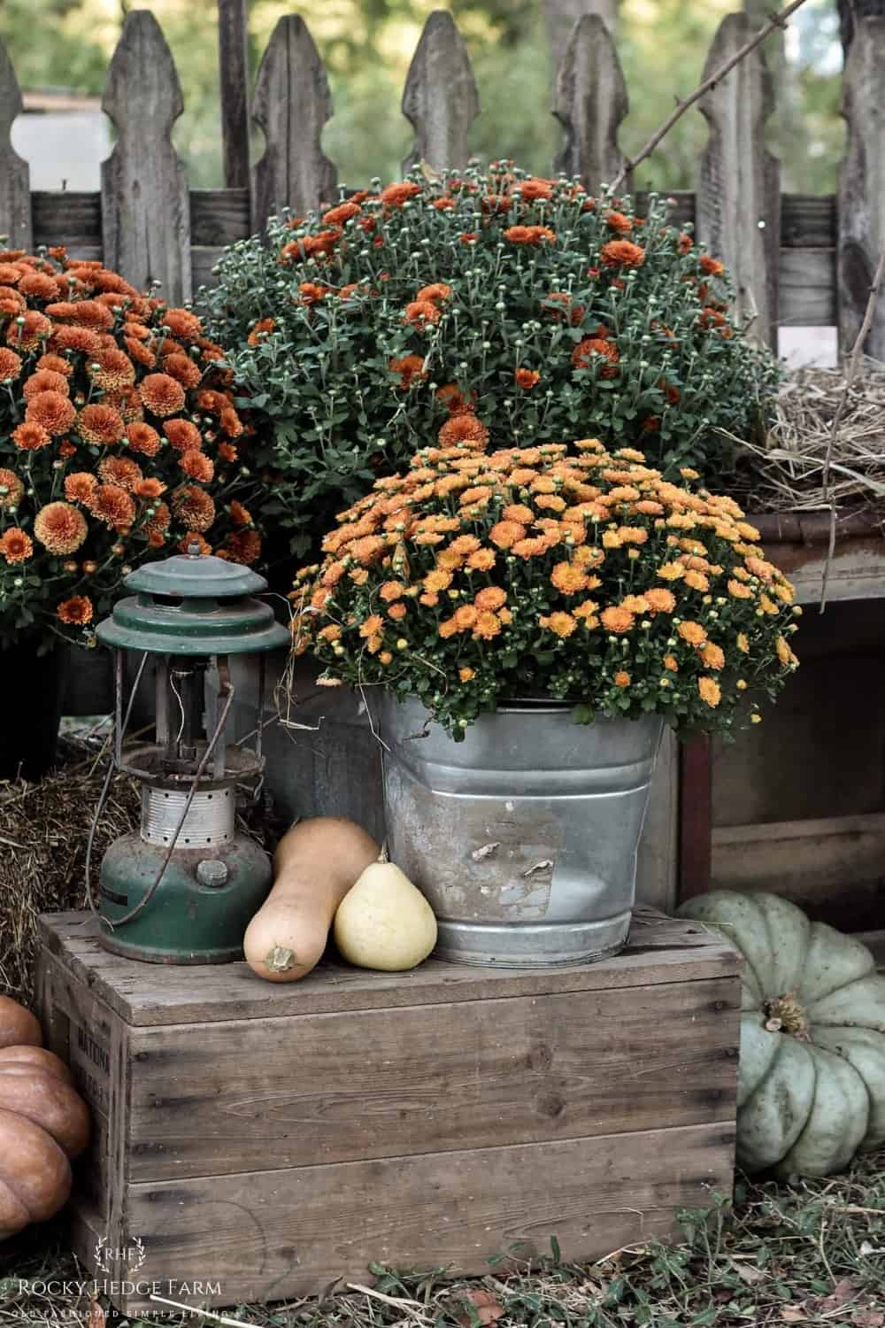 How to Decorate a Country Farmhouse Yard for Fall Rocky Hedge Farm