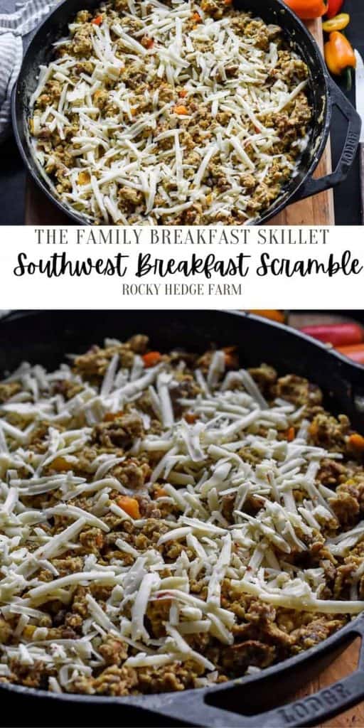 Cast Iron Skillet Scramble