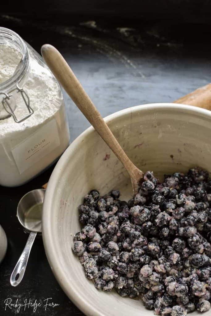 Homemade Blueberry Pie