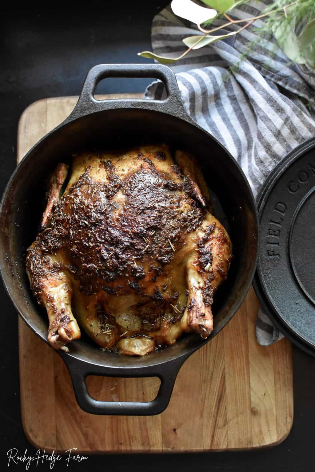 Dutch Oven Whole Chicken Rocky Hedge Farm