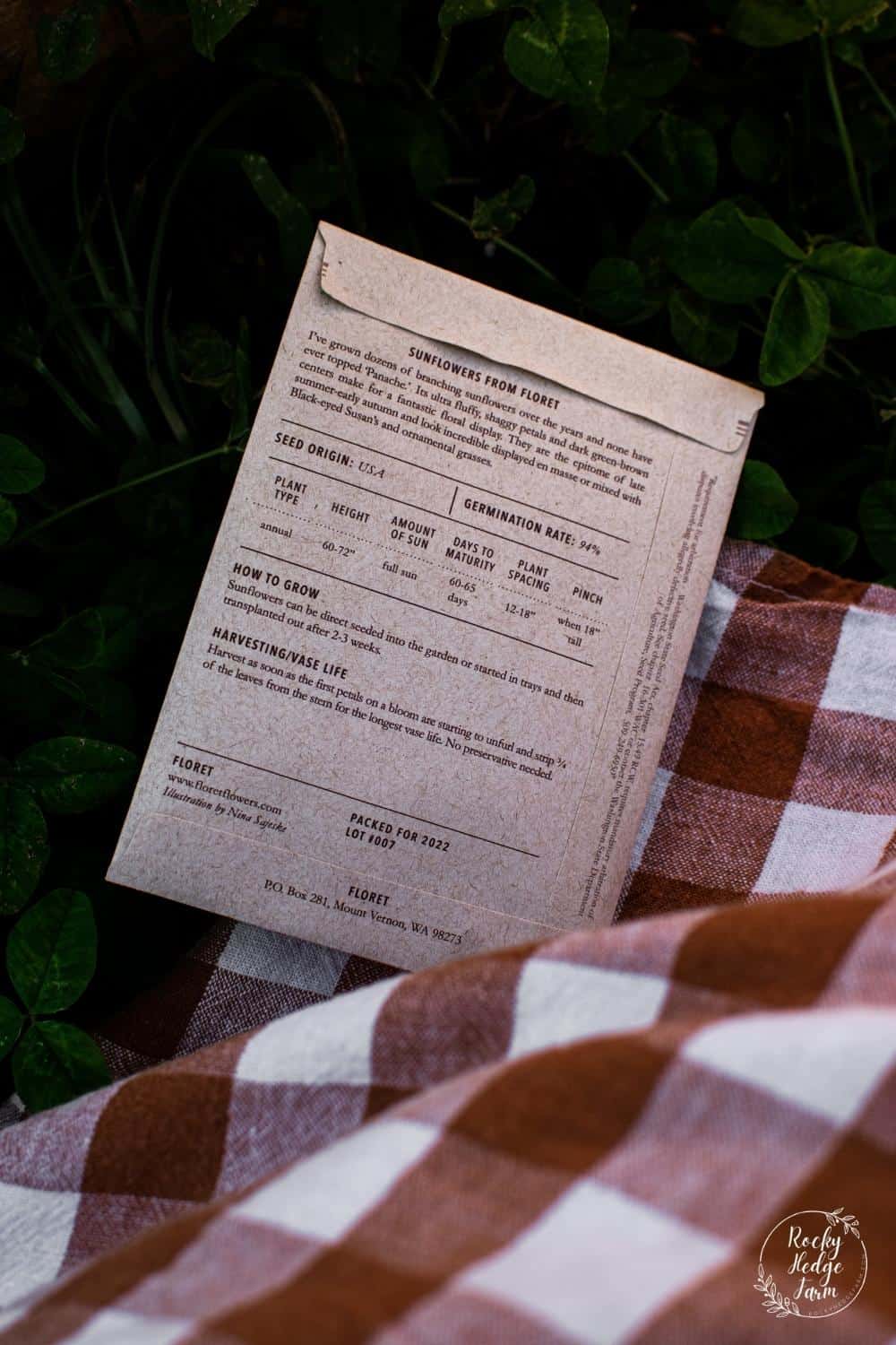 How to Plant Sunflower Seeds Rocky Hedge Farm