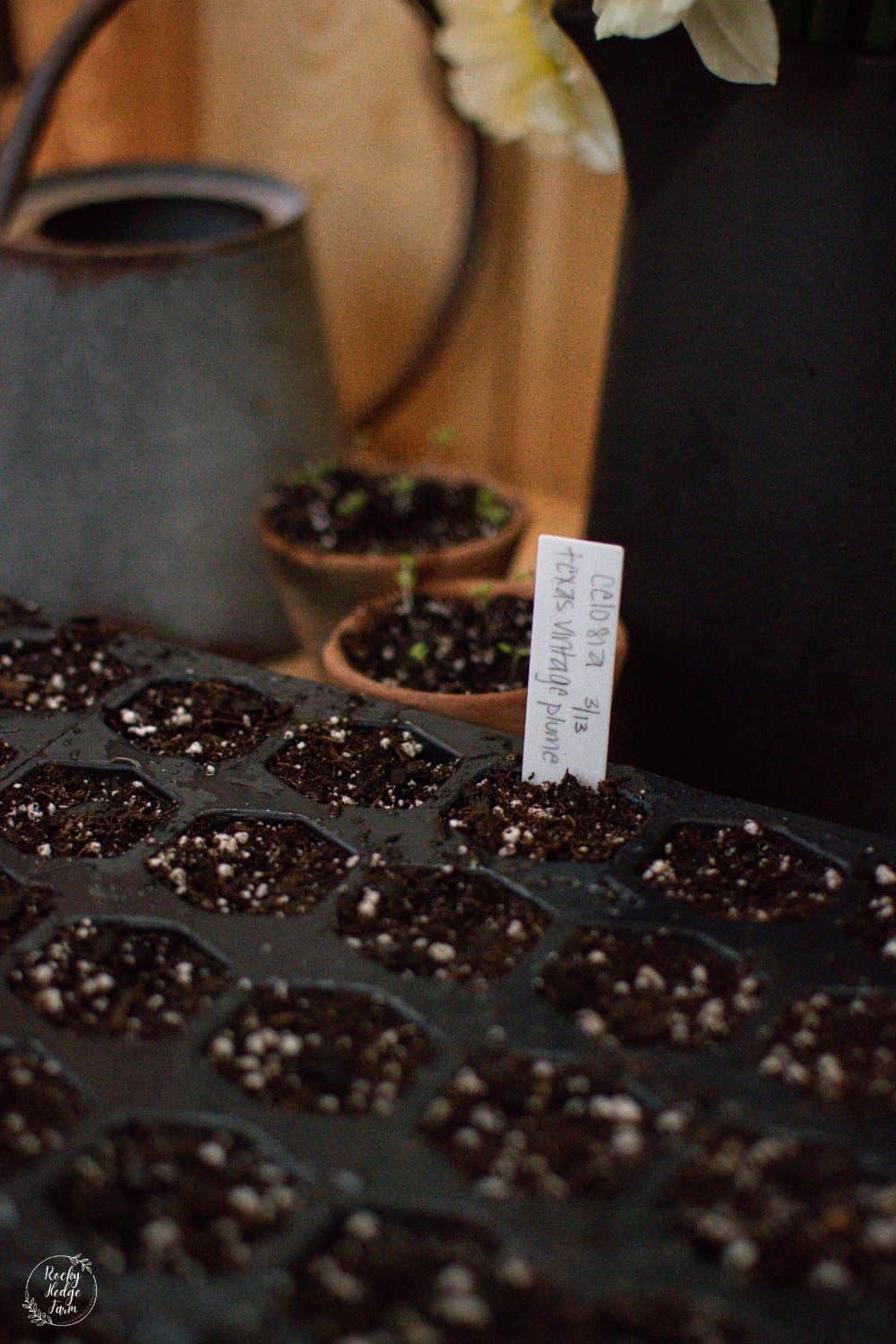 plant pots clay Vaso Liscio main image 0