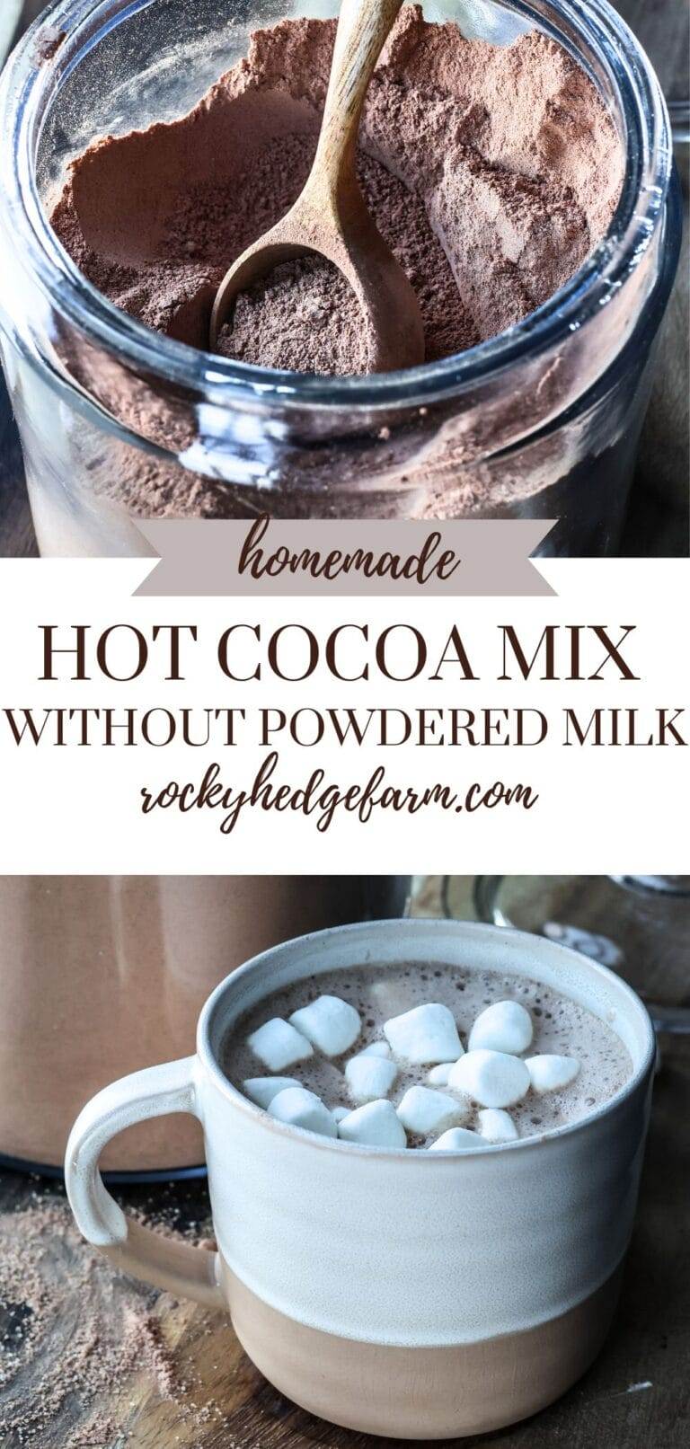 Homemade Hot Cocoa Mix Without Powdered Milk: Creamy and Delicious ...
