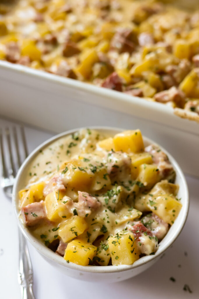 Hearty serving of cheesy casserole in a rustic ceramic bowl